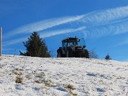 15 Qui si lavora, mentre io vado a spasso